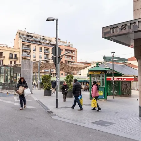 Caliu Barcelona - Camp Nou * L’Hospitalet de Llobregat